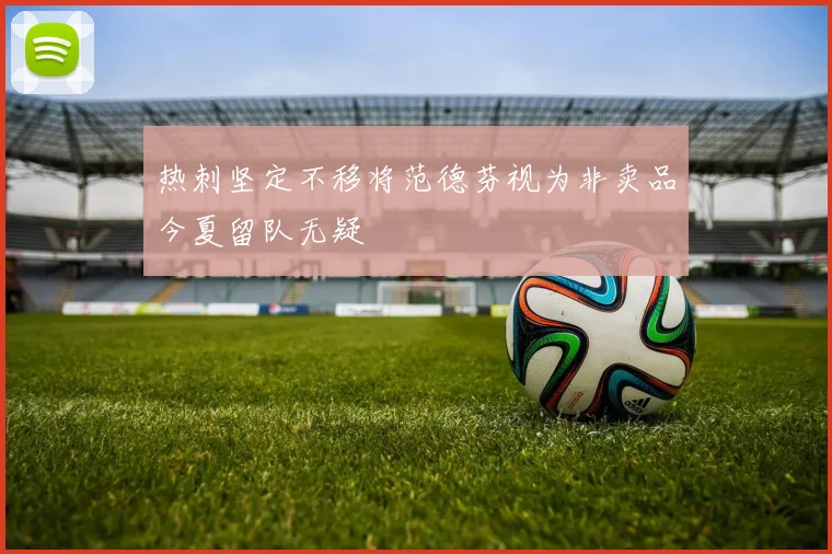 热刺坚定不移将范德芬视为非卖品今夏留队无疑