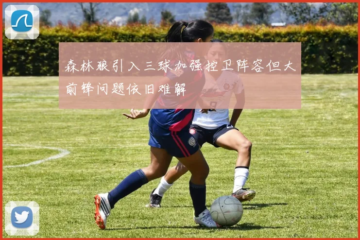森林狼引入三球加强控卫阵容但大前锋问题依旧难解